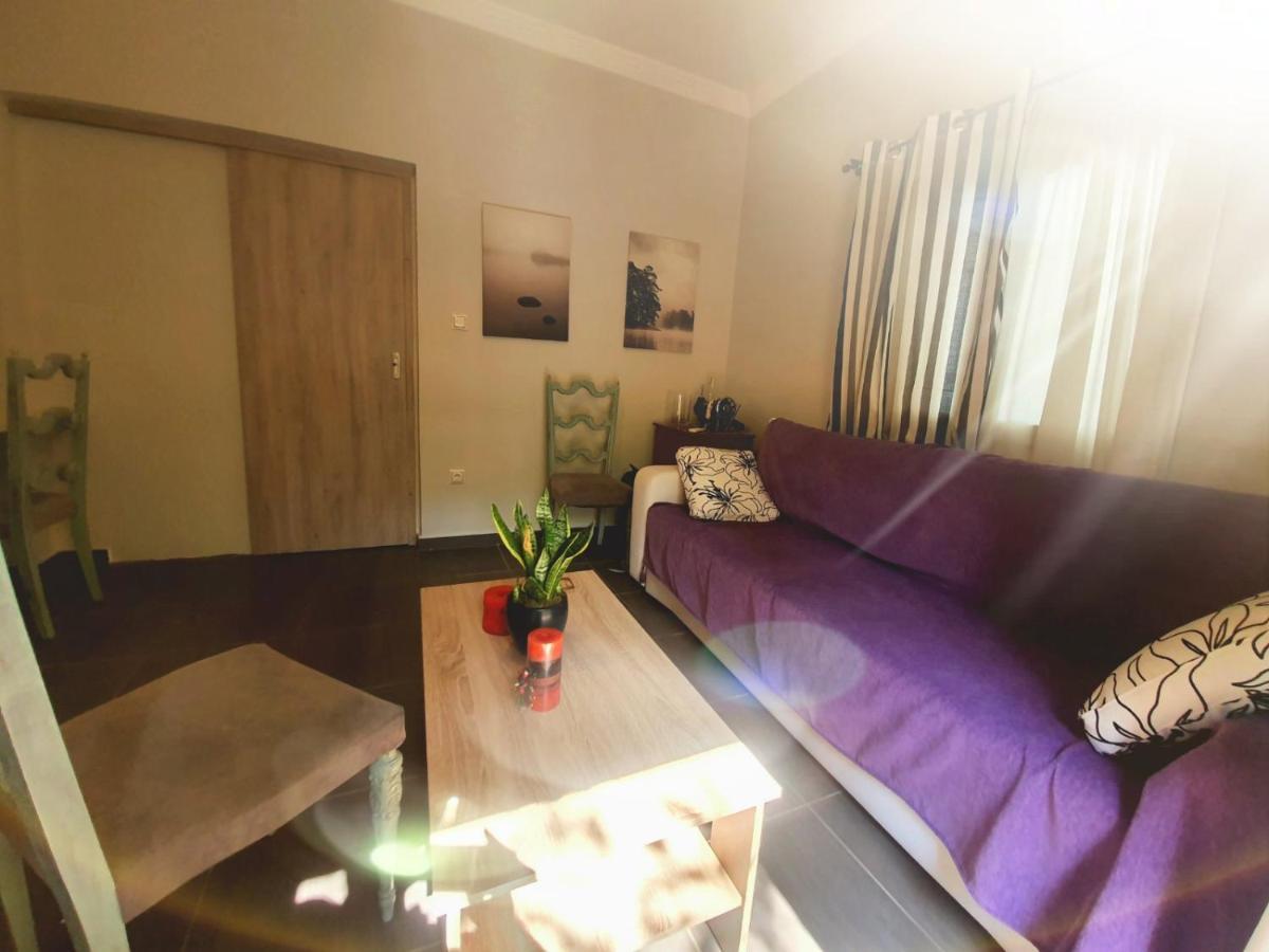 Ilias' Cosy And Relaxing Apartment Athen Eksteriør billede